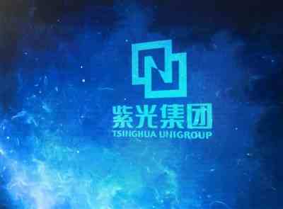 500亿，接盘紫光的门槛