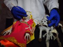 秘鲁外星人遗体是假的,法医现场鉴定