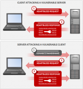 Heartbleed漏洞隐患详解