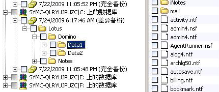Backup Exec 选择视图中显示的 Domino 服务器文件类型