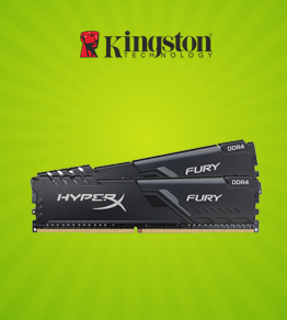 金士顿 Kingston FURY Beast系列