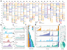 我科学家绘制全球首张小麦抗病基因图谱