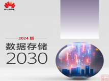 华为数据存储2030白皮书(2024版)