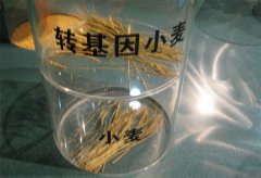 农科院所长：转基因是科学 明确标识是歧视