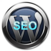 WordPress SEO十大技巧分享
