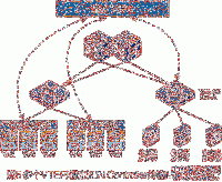 Overlay网络与物理网络的关系